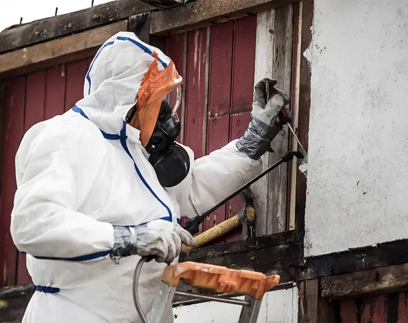 Asbestos